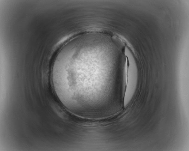 X0000083970675200703091803