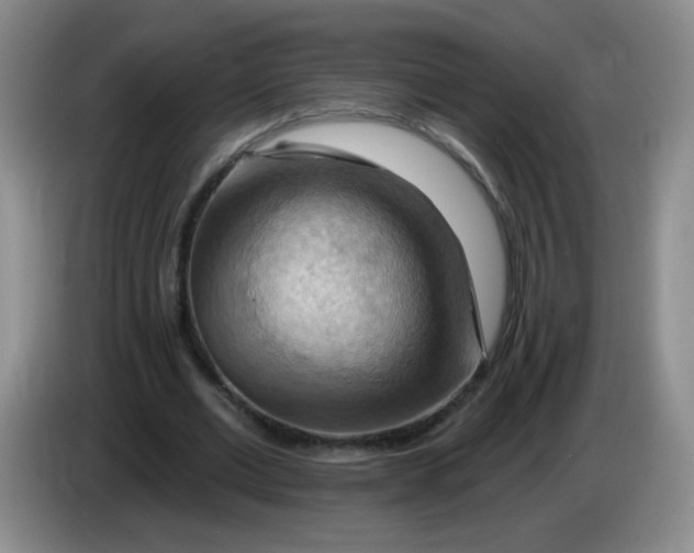 X0000083970677200703091803