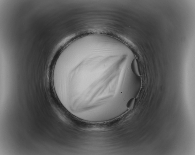 X0000083970678200703091803
