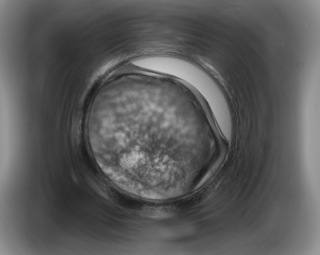 X0000083970679200703091803