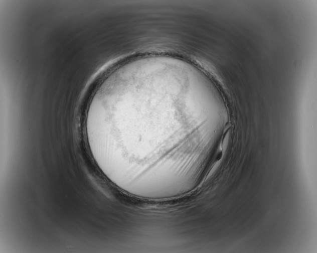X0000083970680200703091803