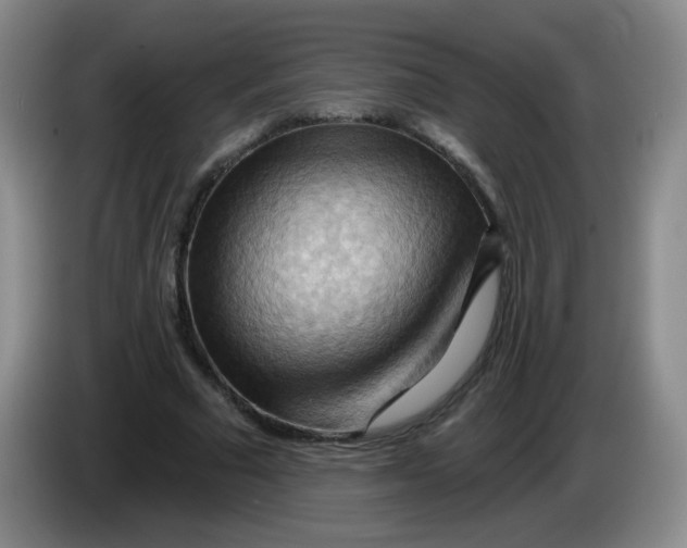 X0000083970681200703091803