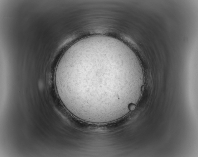 X0000083970683200703091803