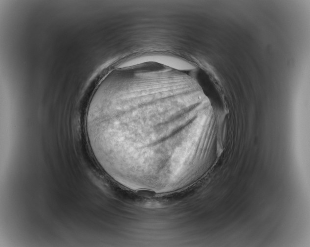 X0000083970684200703091803