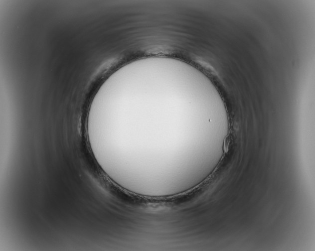 X0000083970686200703091803