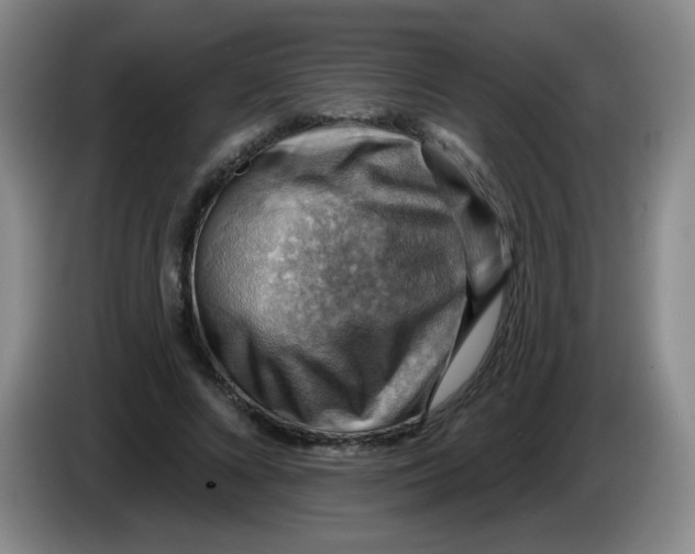 X0000083970688200703091803