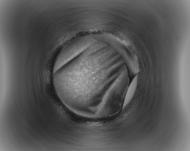 X0000083970689200703091803