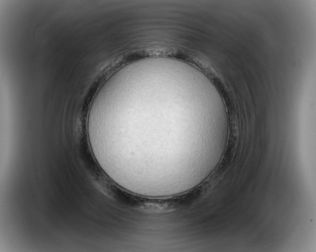 X0000083970690200703091803