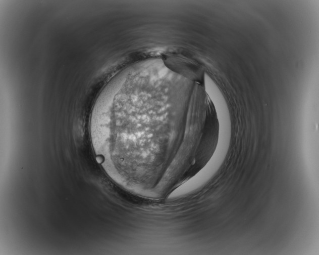 X0000083970691200703091803