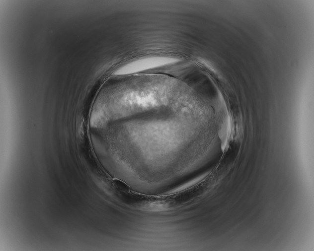 X0000083970692200703091803