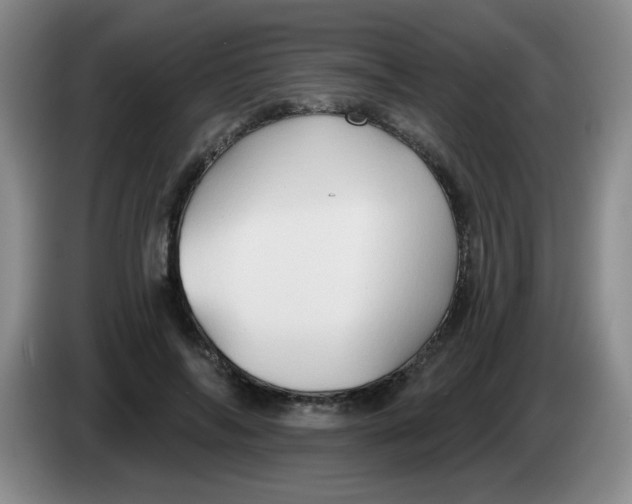 X0000083970694200703091803