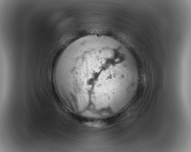 X0000083970695200703091803