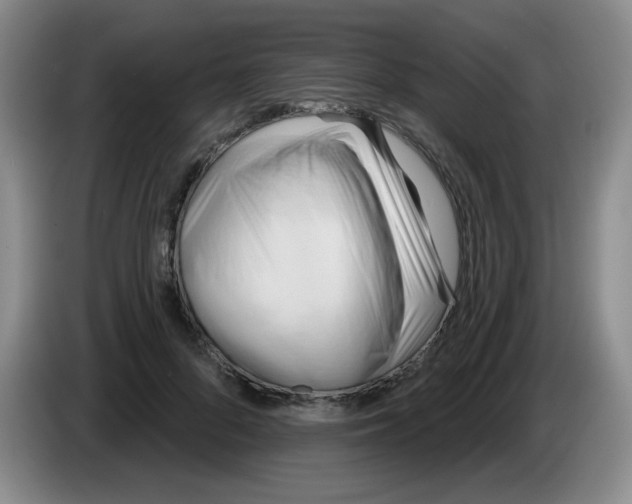 X0000083970696200703091803