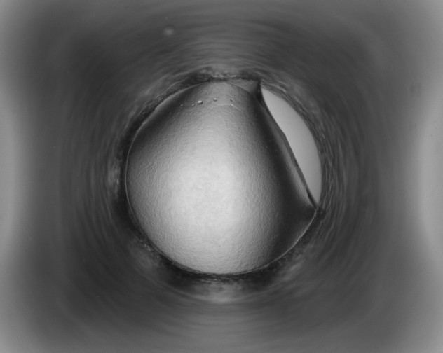 X0000083970697200703091803