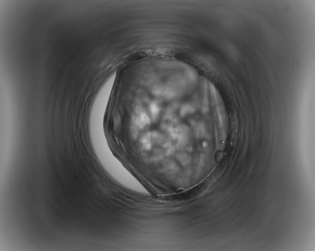 X0000083970699200703091803