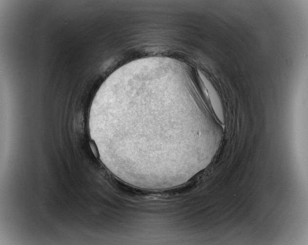 X0000083970700200703091803