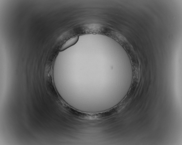 X0000083970701200703091803