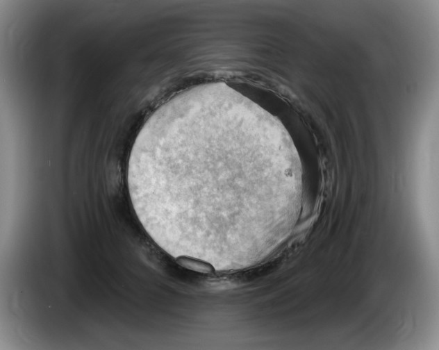 X0000083970704200703091803