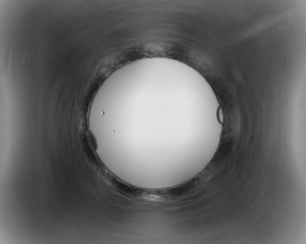 X0000083970706200703091803