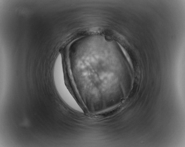 X0000083970707200703091803
