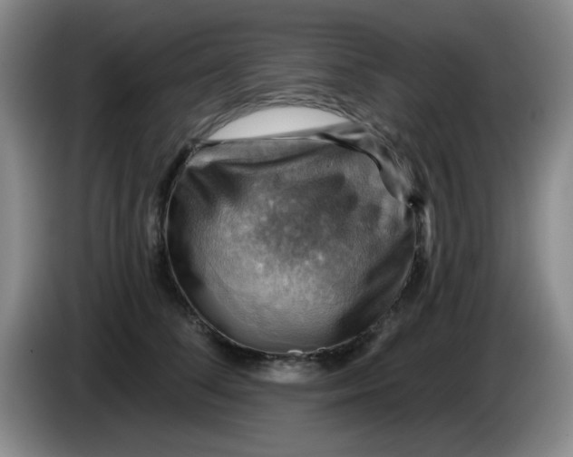 X0000083970708200703091803