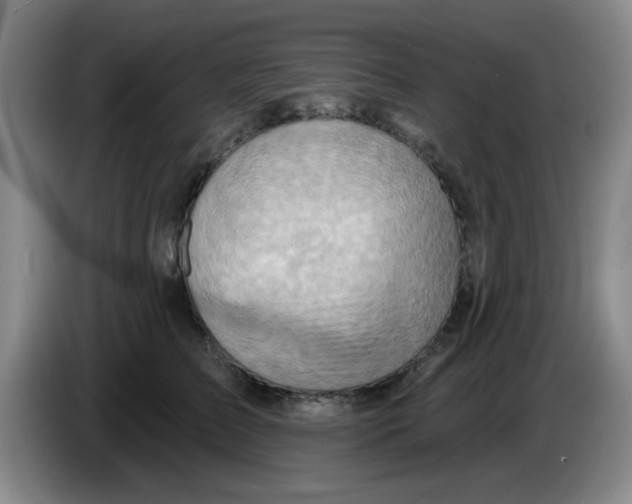 X0000083970709200703091803