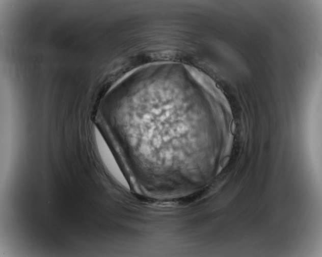 X0000083970711200703091803