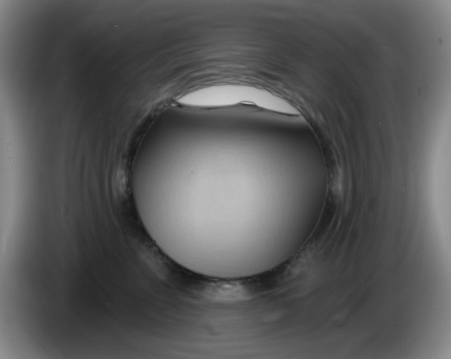 X0000083970715200703091803