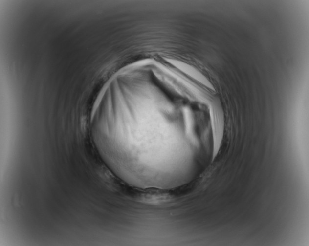 X0000083970716200703091803