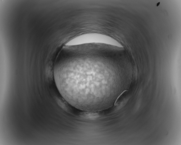 X0000083970719200703091803