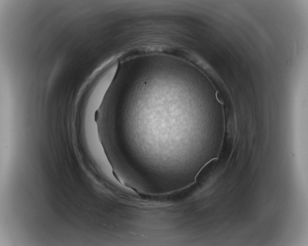 X0000083970722200703091802