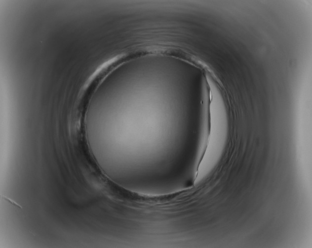 X0000083970723200703091802