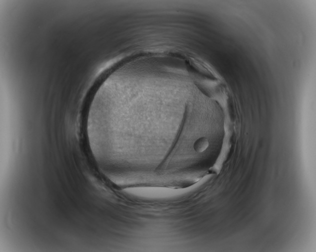 X0000083970724200703091802