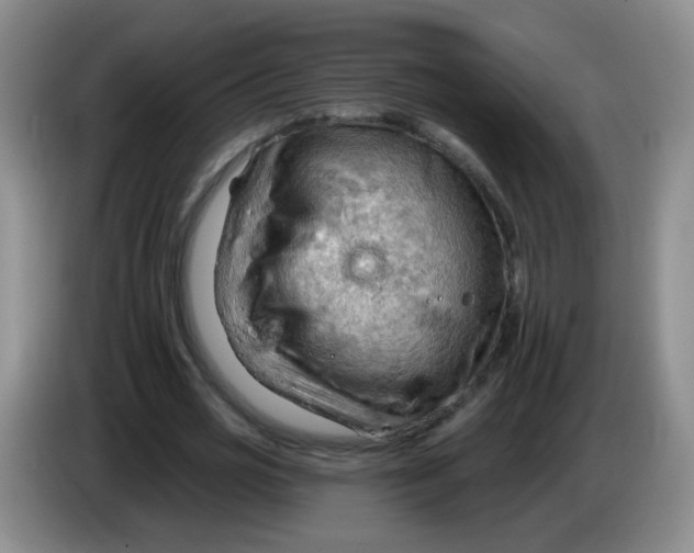 X0000083970725200703091802