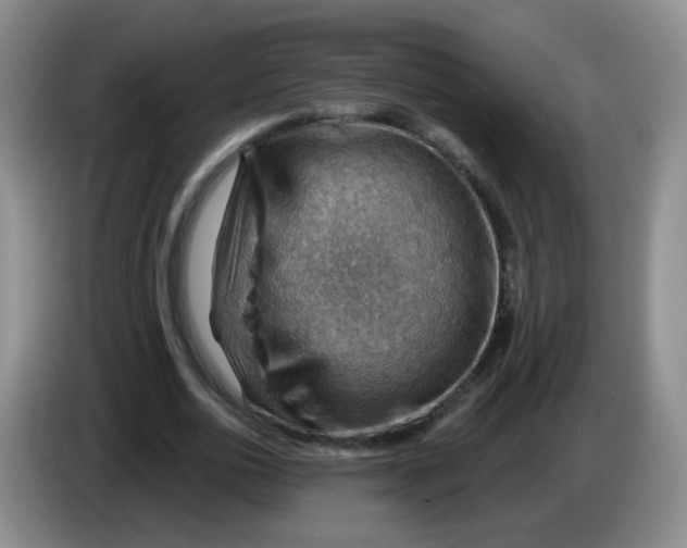 X0000083970726200703091802