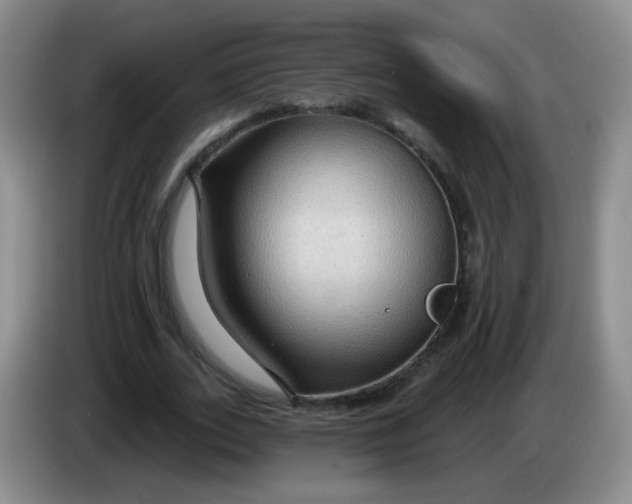 X0000083970727200703091802