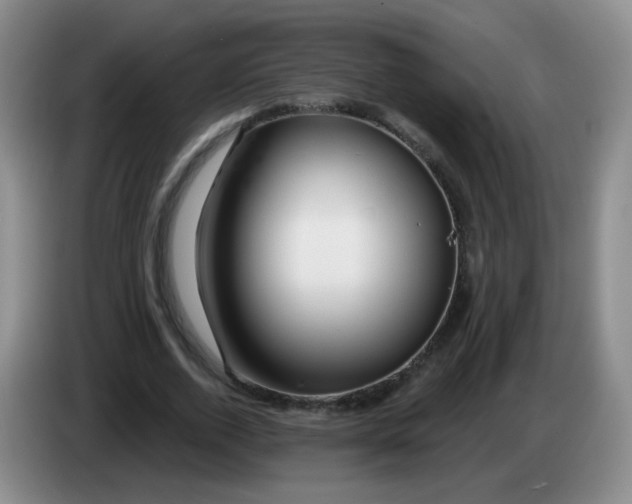 X0000083970728200703091802