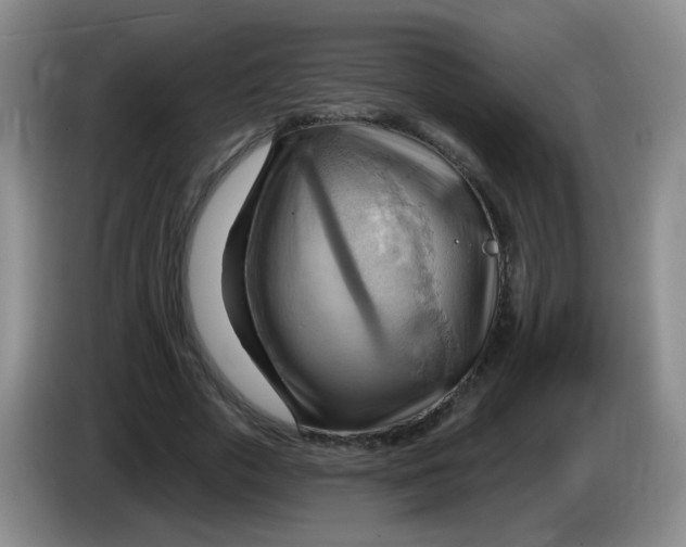 X0000083970729200703091802