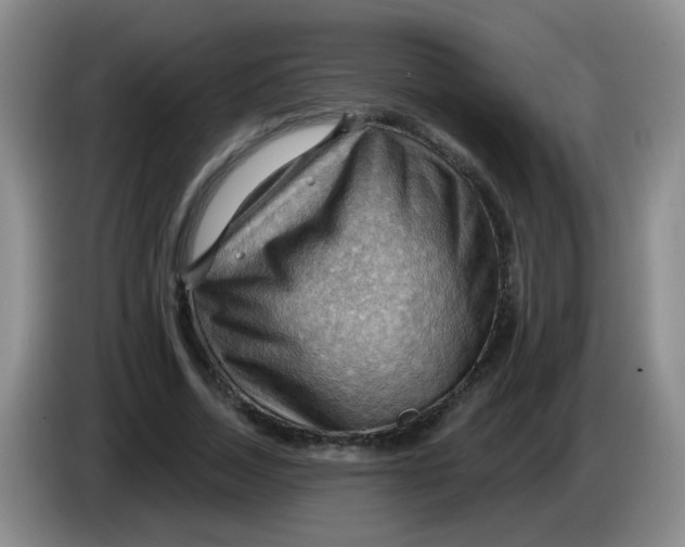 X0000083970730200703091802