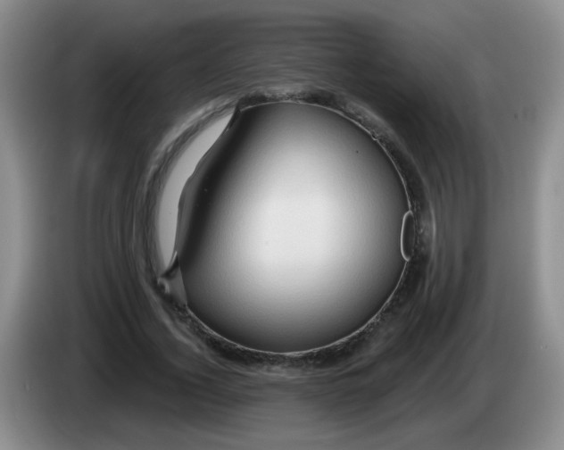 X0000083970732200703091802