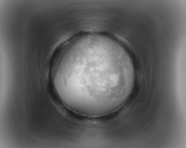 X0000083970735200703091802