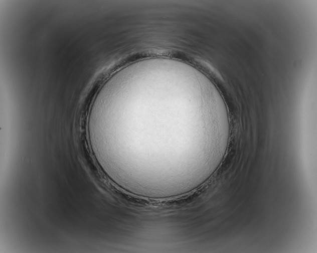 X0000083970736200703091802