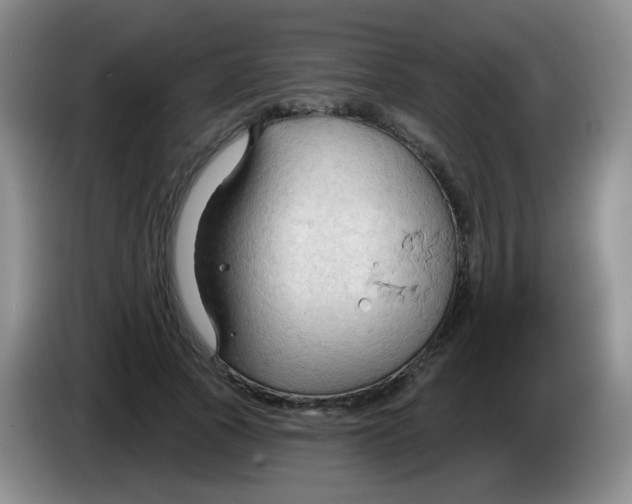 X0000083970737200703091802