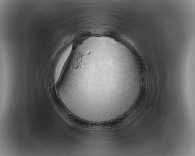 X0000083970738200703091802