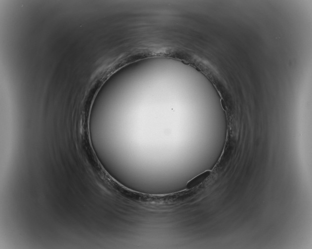 X0000083970740200703091802