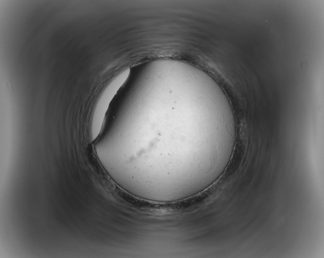 X0000083970741200703091802