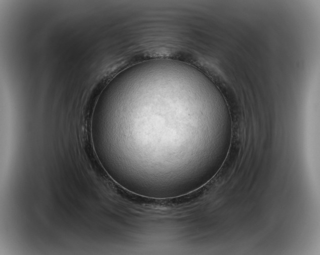 X0000083970743200703091802