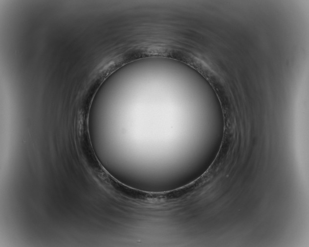 X0000083970744200703091802