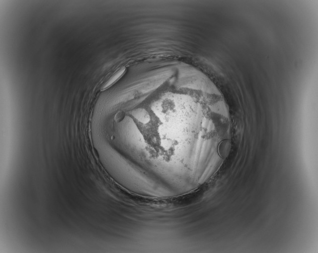 X0000083970745200703091802