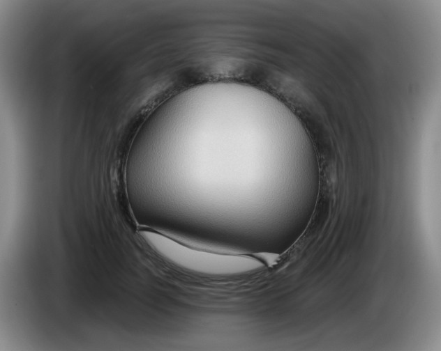 X0000083970746200703091802